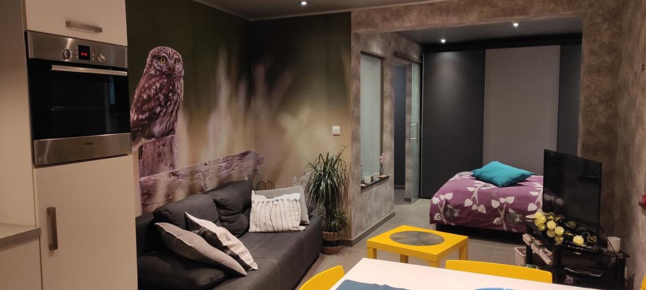 Studio Gite Eul Cat Huant Dergneau Bagian luar foto